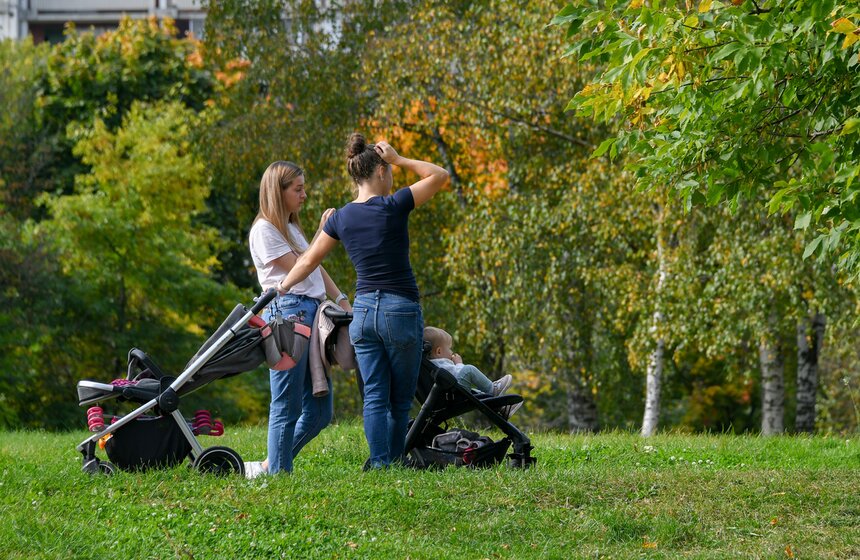 Теплая и солнечная погода установилась в Москве 15 фото