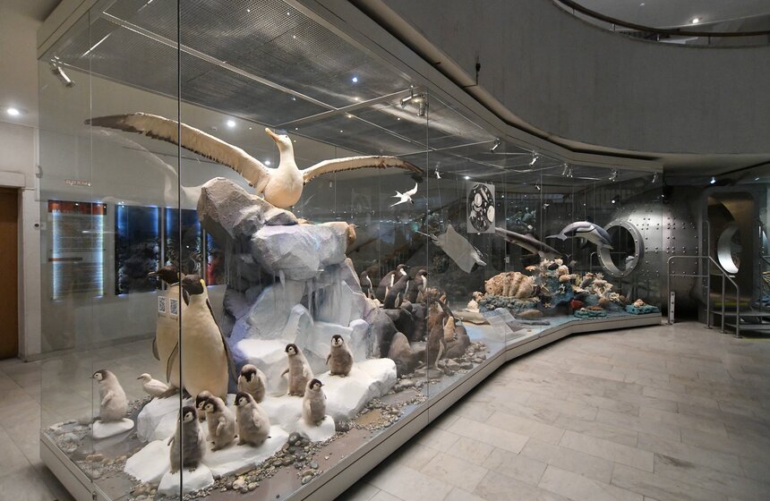 Все посетители экспозиции обязаны соблюдать санитарно-противоэпидемические правила