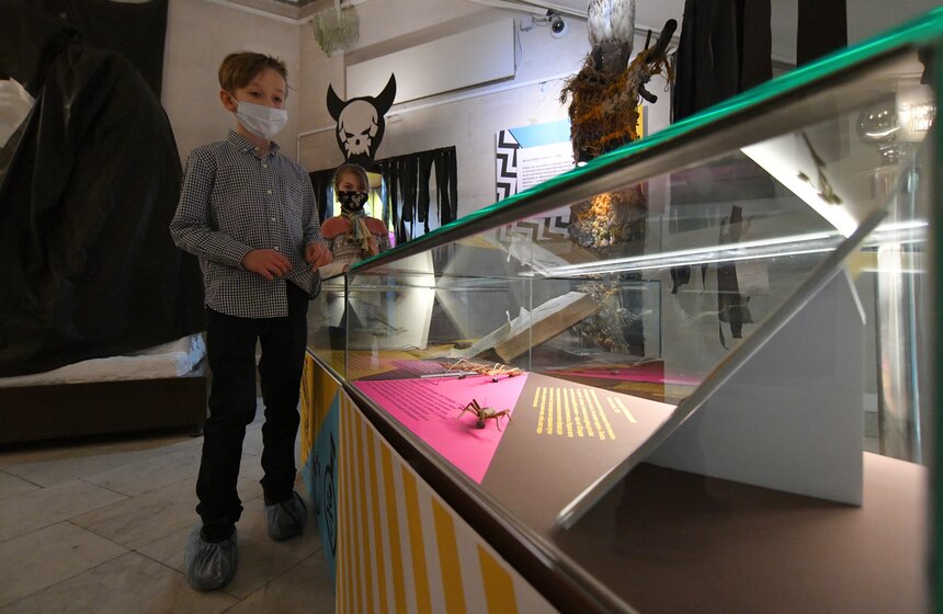 Именно поэтому бабочка считалась предвестником несчастий, смерти, войн и эпидемии