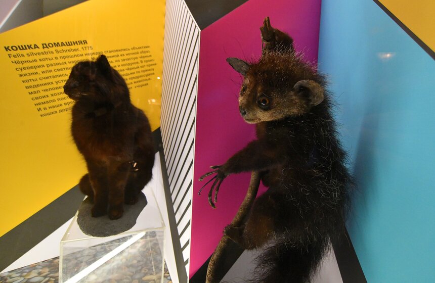 Например, в коллекции музея существует несколько изображений Сатаны в разных обличиях и формах