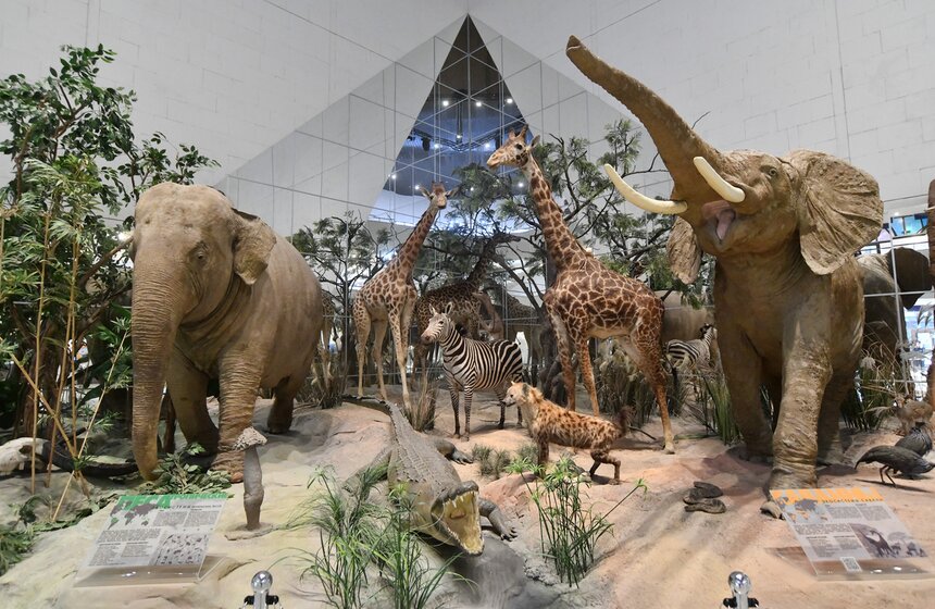 В понедельник и последнюю пятницу месяца на выставку попасть не получится – выходной день