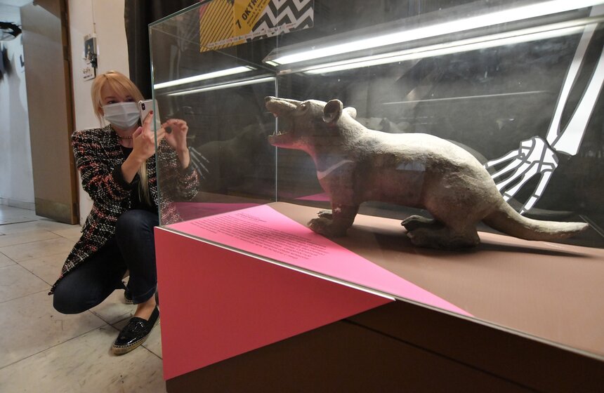 В четверг выставочный комплекс работает с 13:00 до 21:00