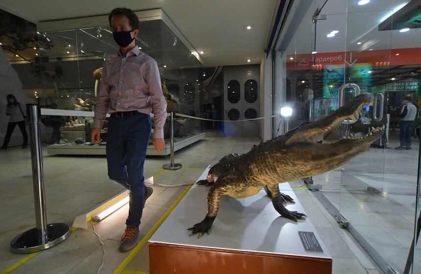 В мае 2020 года Сатурн умер в почтенном для крокодилов возрасте – 84 года. После смерти аллигатор был передан Дарвиновскому музею