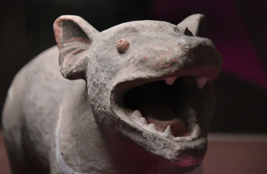 Посетителей ждут с 10:00 до 18:00