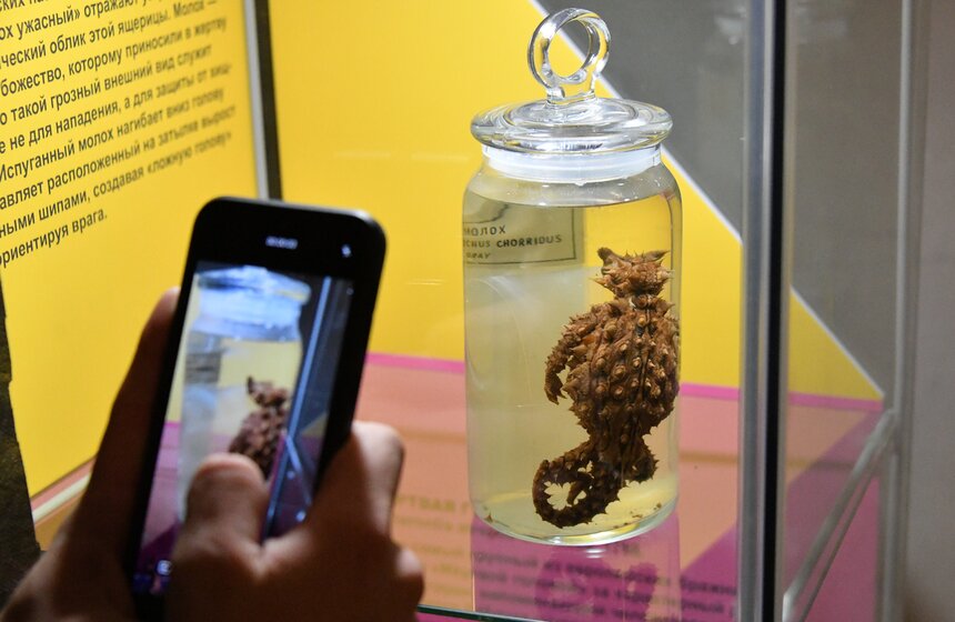 Выставку "Чертова дюжина" можно посмотреть со вторника по воскресенье