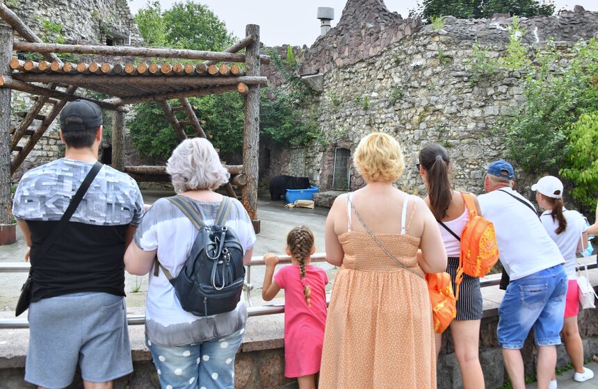 В жару медведям из Московского зоопарка приготовили ванну с карпами и ледяной торт 1 фото