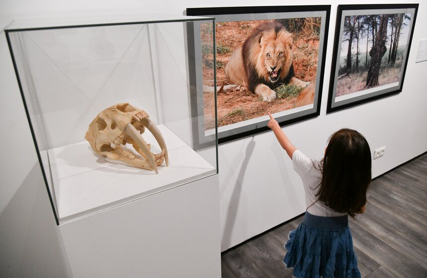 В ММОМА открылась выставка Стаса Намина "Противостояние" 19 фото