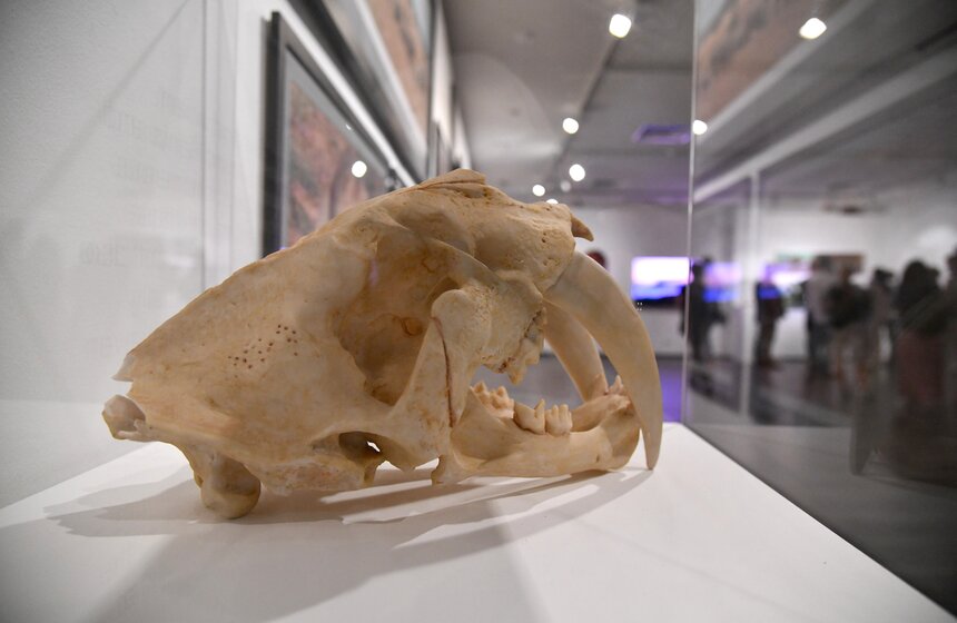 В ММОМА открылась выставка Стаса Намина "Противостояние" 2 фото