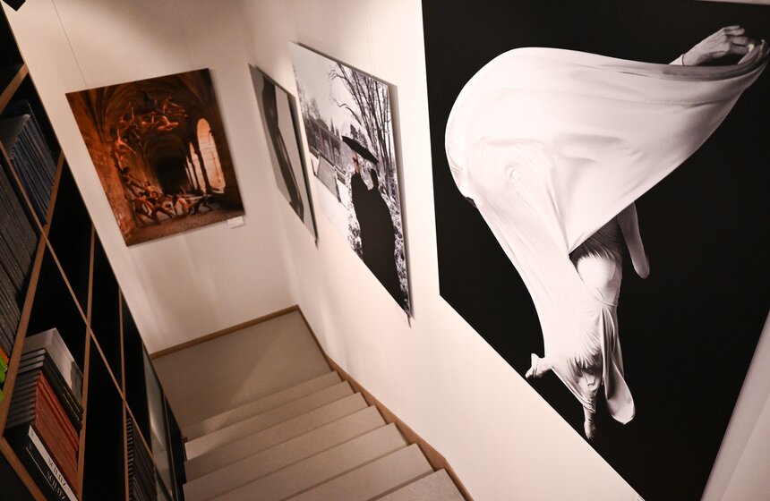 Выставка "Высокий полет Мелвина Соколски" открылась в галерее Люмьер 13 фото