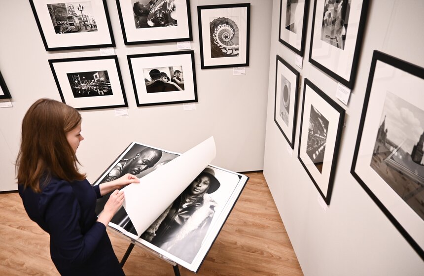 Выставка "Высокий полет Мелвина Соколски" открылась в галерее Люмьер 19 фото