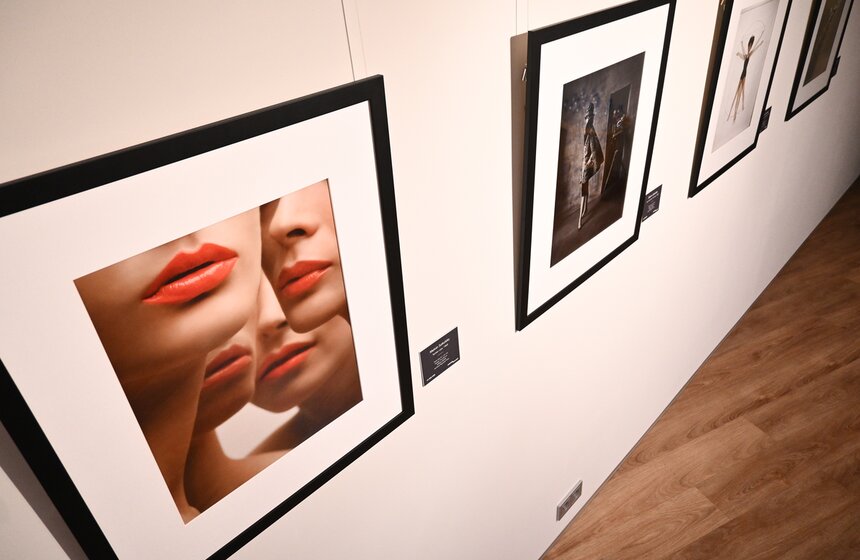 Выставка "Высокий полет Мелвина Соколски" открылась в галерее Люмьер 10 фото