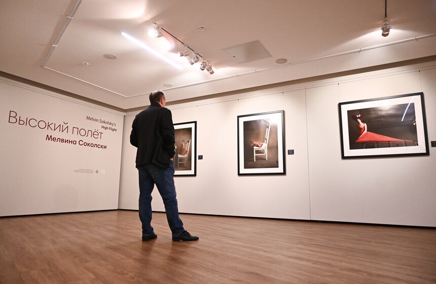 Выставка "Высокий полет Мелвина Соколски" открылась в галерее Люмьер 3 фото