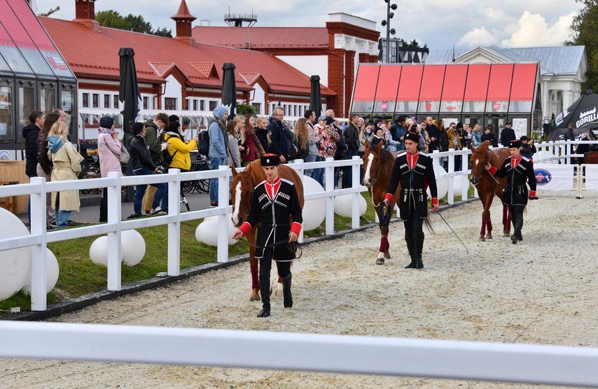 На ВДНХ проходит фестиваль "Конные традиции России" 2 фото