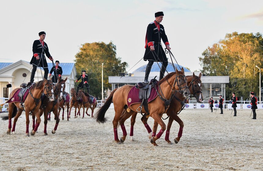 На ВДНХ проходит фестиваль "Конные традиции России" 12 фото