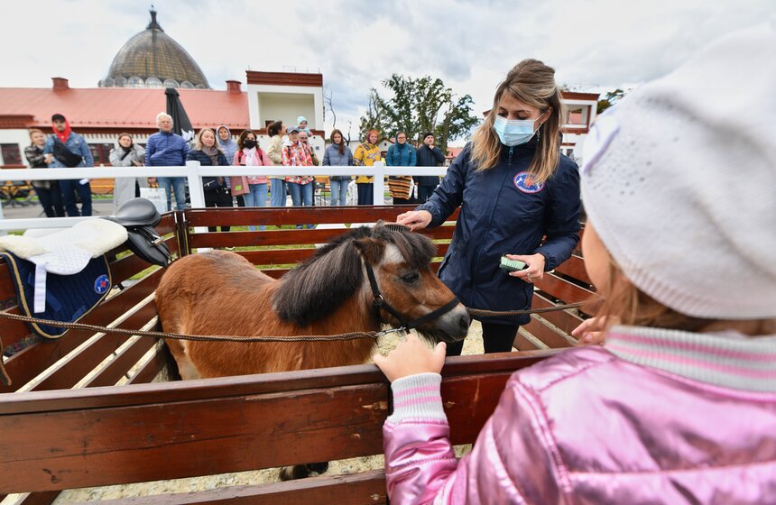 На ВДНХ проходит фестиваль "Конные традиции России" 20 фото