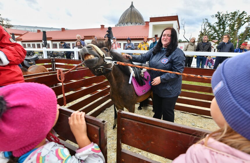 На ВДНХ проходит фестиваль "Конные традиции России" 21 фото