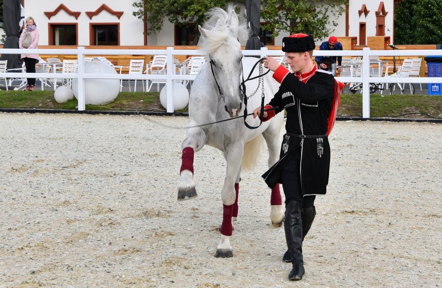 На ВДНХ проходит фестиваль "Конные традиции России" 4 фото
