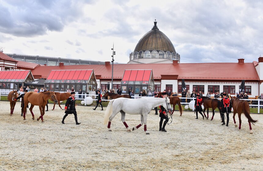 На ВДНХ проходит фестиваль "Конные традиции России" 5 фото