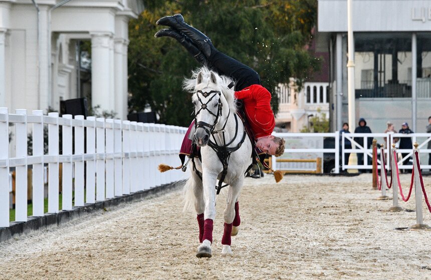 На ВДНХ проходит фестиваль "Конные традиции России" 17 фото