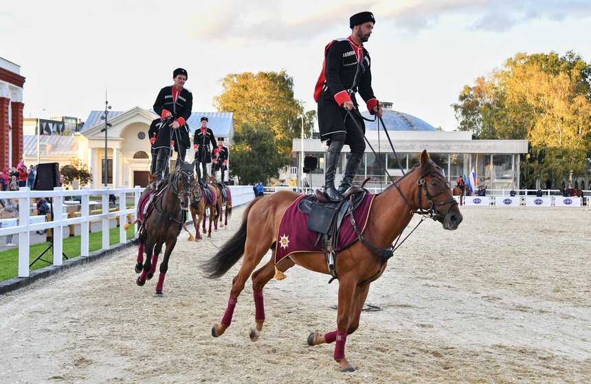 На ВДНХ проходит фестиваль "Конные традиции России" 10 фото