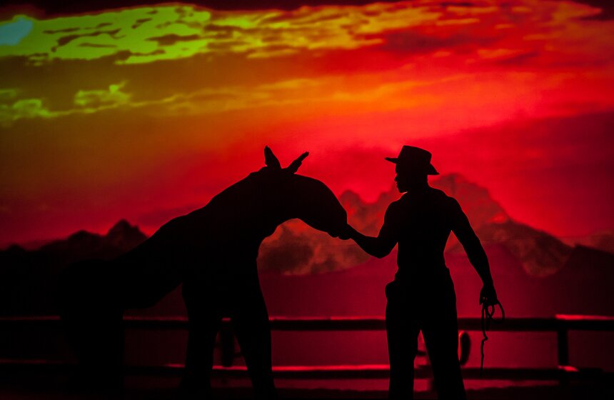 Шоу теней "The Fantastic Shadows" состоялось в столице 22 фото