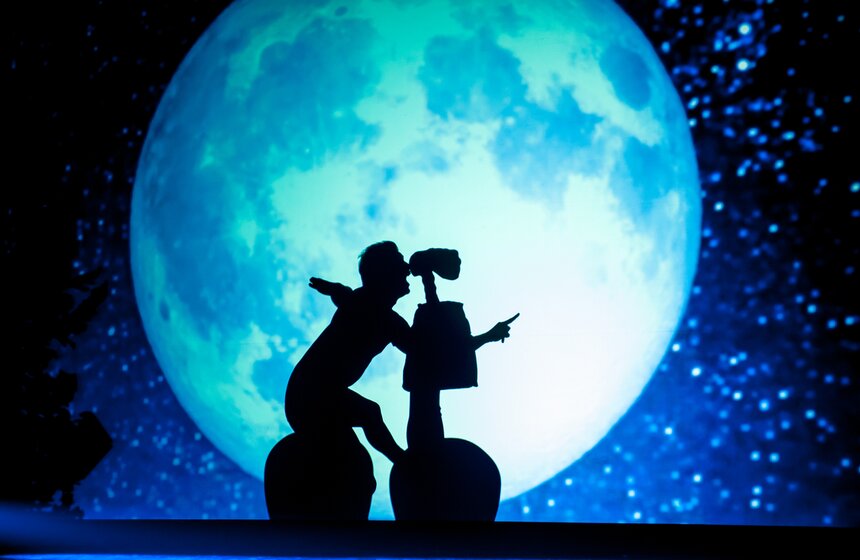 Шоу теней "The Fantastic Shadows" состоялось в столице 23 фото