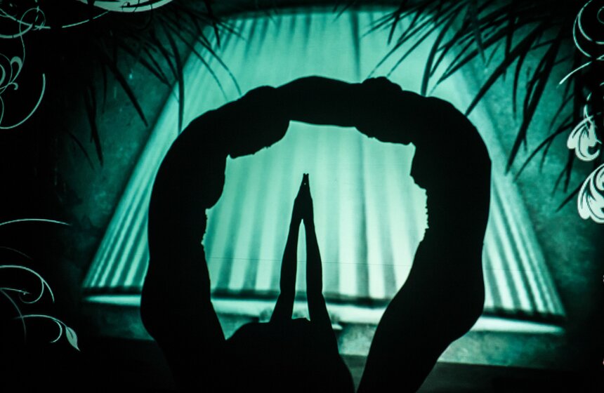 Шоу теней "The Fantastic Shadows" состоялось в столице 9 фото