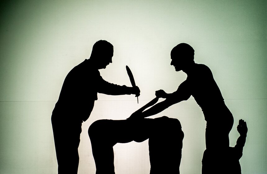 Шоу теней "The Fantastic Shadows" состоялось в столице 20 фото