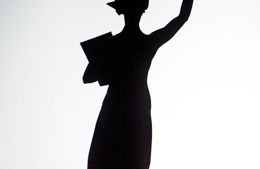 Шоу теней "The Fantastic Shadows" состоялось в столице 14 фото