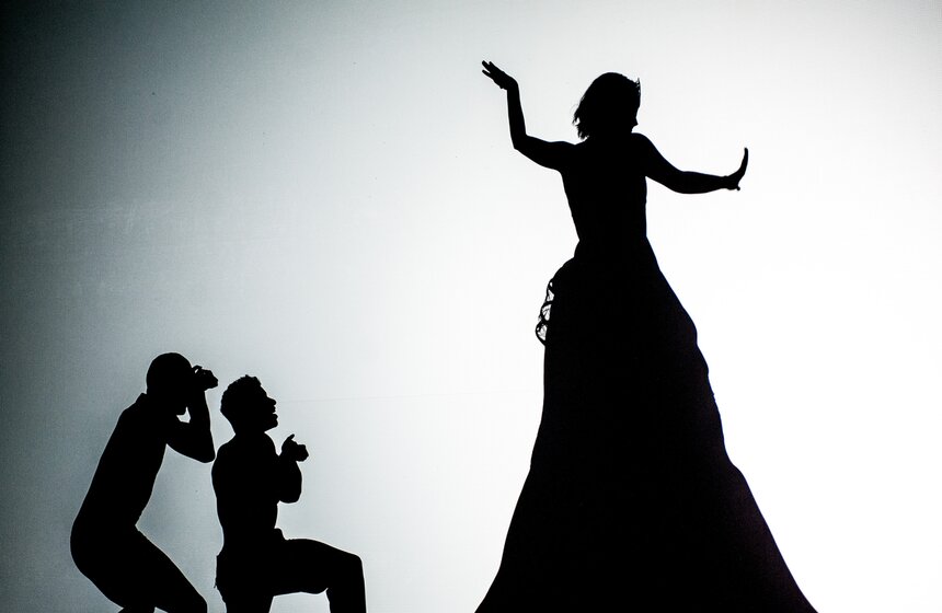 Шоу теней "The Fantastic Shadows" состоялось в столице 16 фото