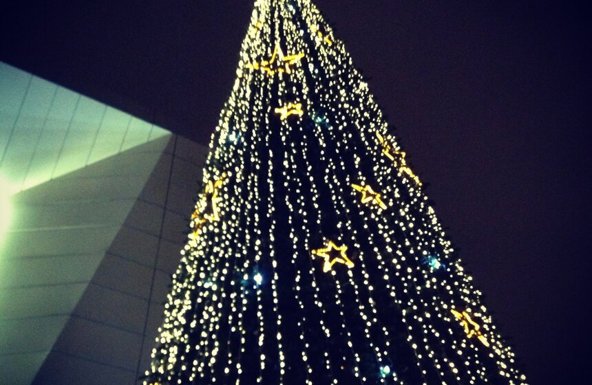 Автор: Мария Касатина