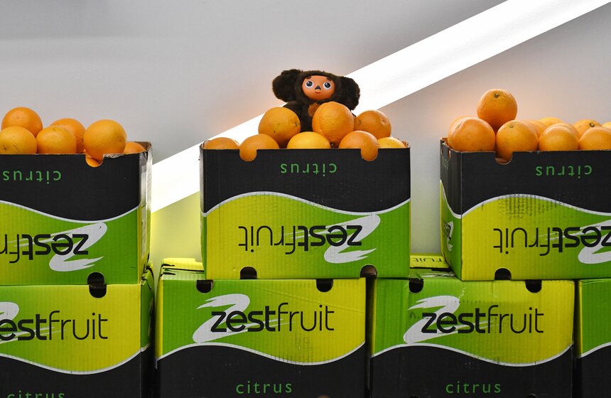 В "Союзмультпарке" отпраздновали 55-летие Чебурашки 3 фото