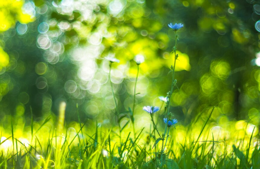 Аномальное лето в Москве: каким оно запомнилось 16 фото