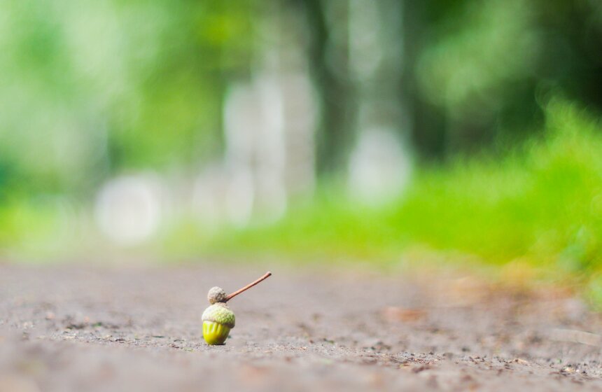 Аномальное лето в Москве: каким оно запомнилось 6 фото
