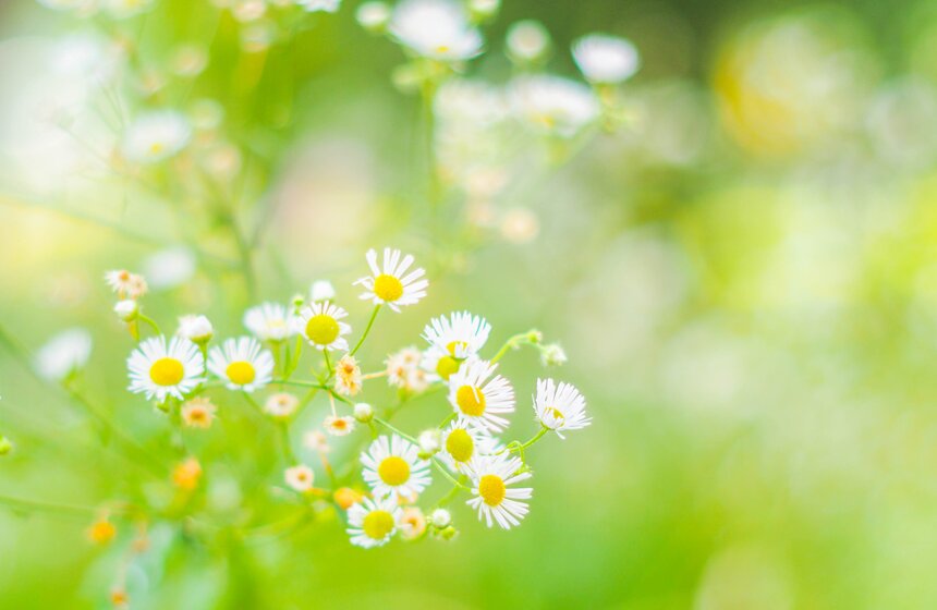 Аномальное лето в Москве: каким оно запомнилось 8 фото