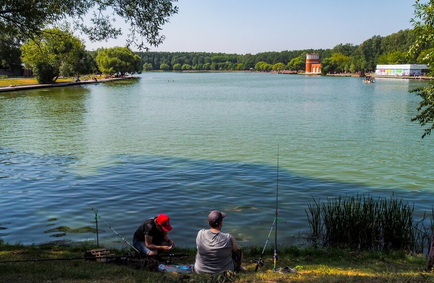 Аномальное лето в Москве: каким оно запомнилось 17 фото