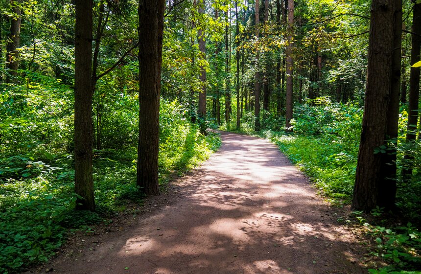Аномальное лето в Москве: каким оно запомнилось 5 фото