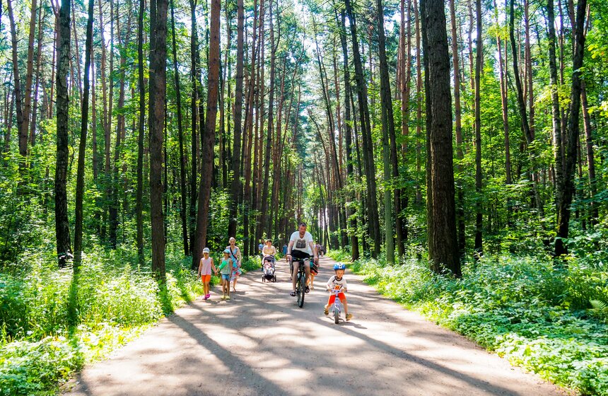 Аномальное лето в Москве: каким оно запомнилось 23 фото