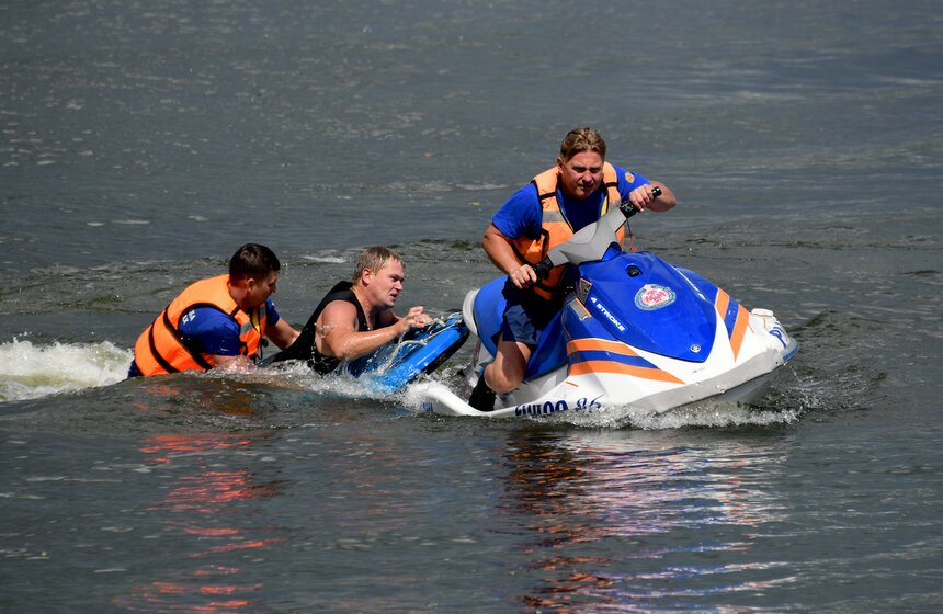 Какую помощь оказывают собаки-водолазы при обеспечении безопасности на водных объектах 33 фото