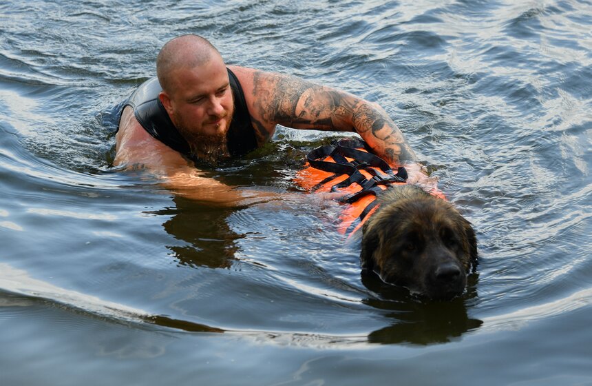Какую помощь оказывают собаки-водолазы при обеспечении безопасности на водных объектах 1 фото