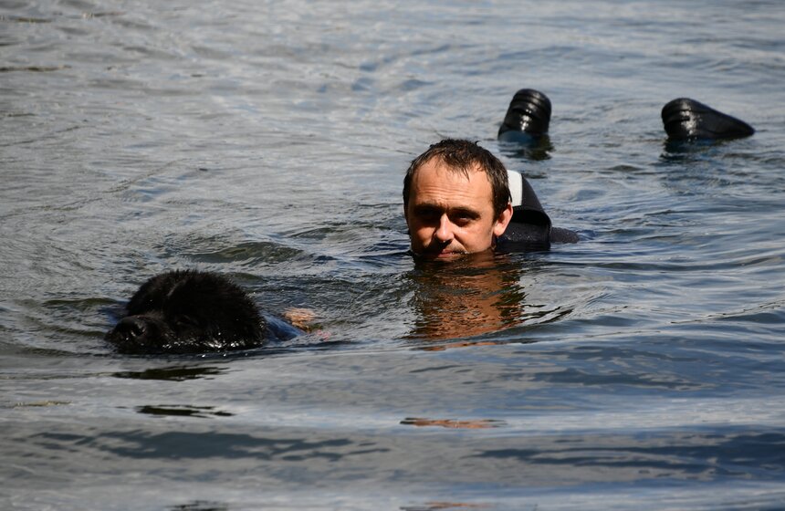 Какую помощь оказывают собаки-водолазы при обеспечении безопасности на водных объектах 4 фото
