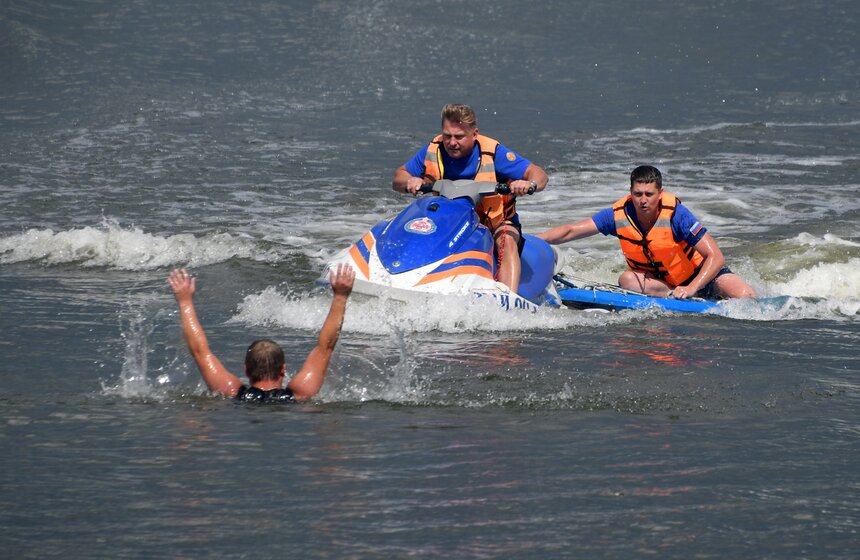 Какую помощь оказывают собаки-водолазы при обеспечении безопасности на водных объектах 32 фото