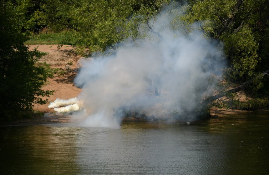Какую помощь оказывают собаки-водолазы при обеспечении безопасности на водных объектах 25 фото