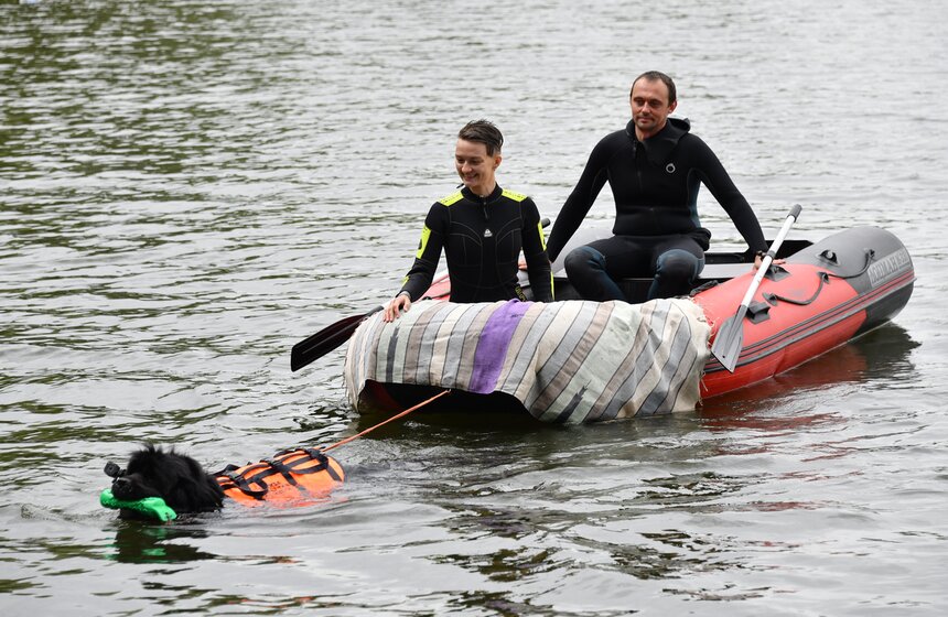 Какую помощь оказывают собаки-водолазы при обеспечении безопасности на водных объектах 11 фото