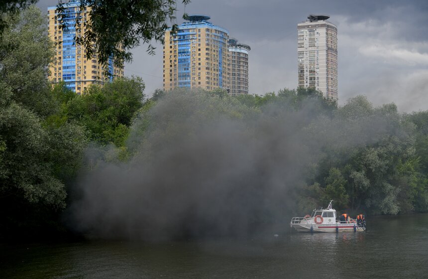 Какую помощь оказывают собаки-водолазы при обеспечении безопасности на водных объектах 29 фото