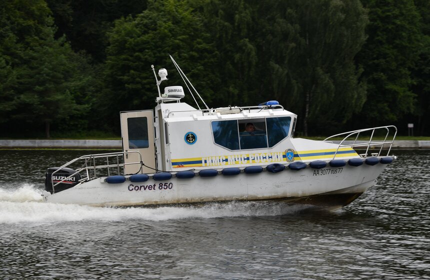 Какую помощь оказывают собаки-водолазы при обеспечении безопасности на водных объектах 37 фото