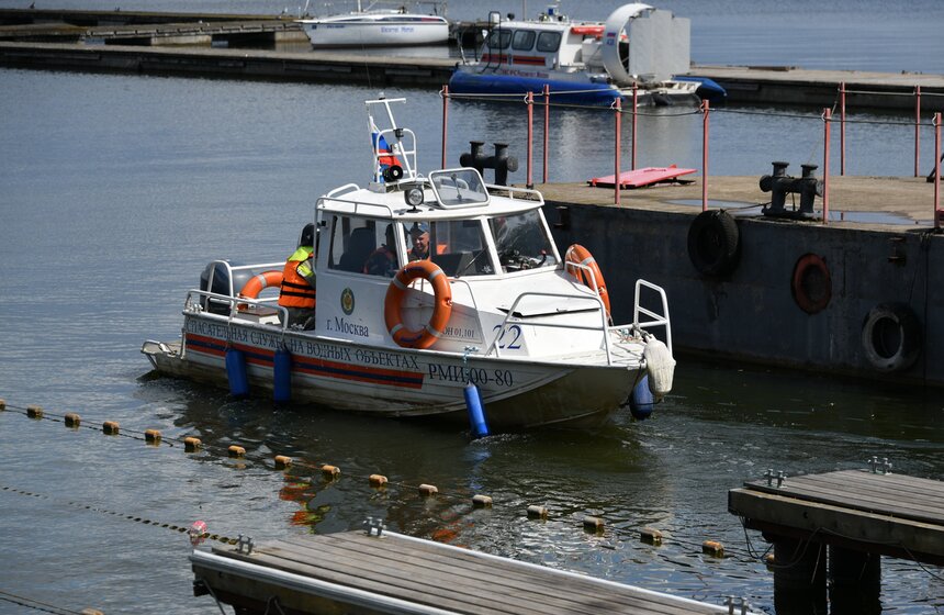 Какую помощь оказывают собаки-водолазы при обеспечении безопасности на водных объектах 24 фото