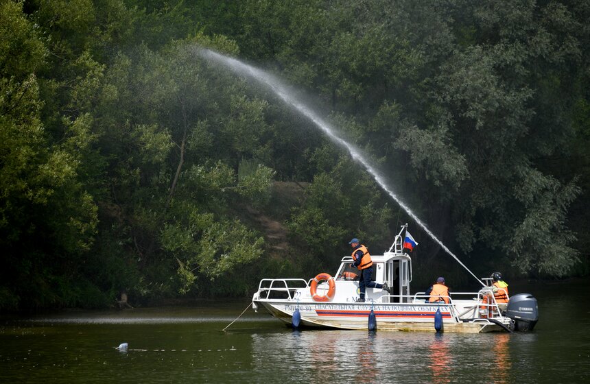 Какую помощь оказывают собаки-водолазы при обеспечении безопасности на водных объектах 30 фото