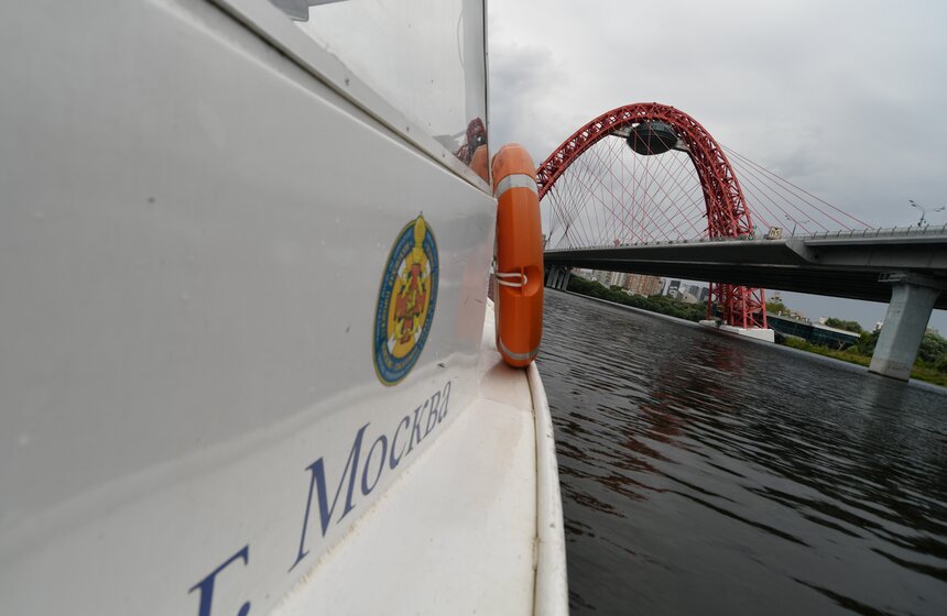 Какую помощь оказывают собаки-водолазы при обеспечении безопасности на водных объектах 39 фото