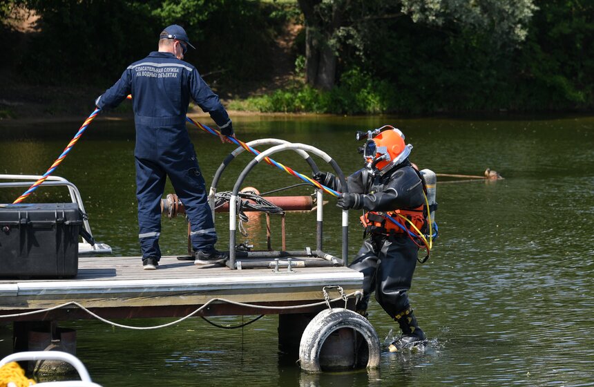 Какую помощь оказывают собаки-водолазы при обеспечении безопасности на водных объектах 19 фото